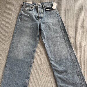 Brand new AGOLDE Ren High Rise Wide Leg Jeans in Disclosure Size 25